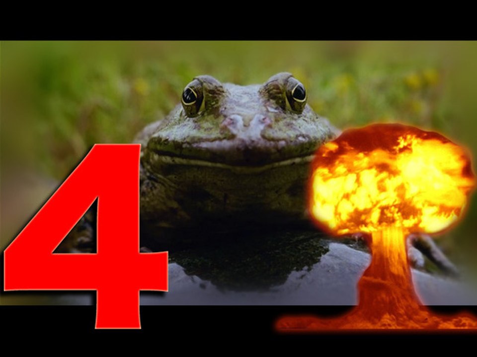 Frog Protest