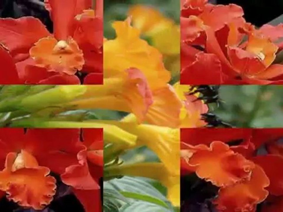 ("MaisSimples"Mas...Exuberante!!!)Armik- Very Romantic Music - By Armik - HD