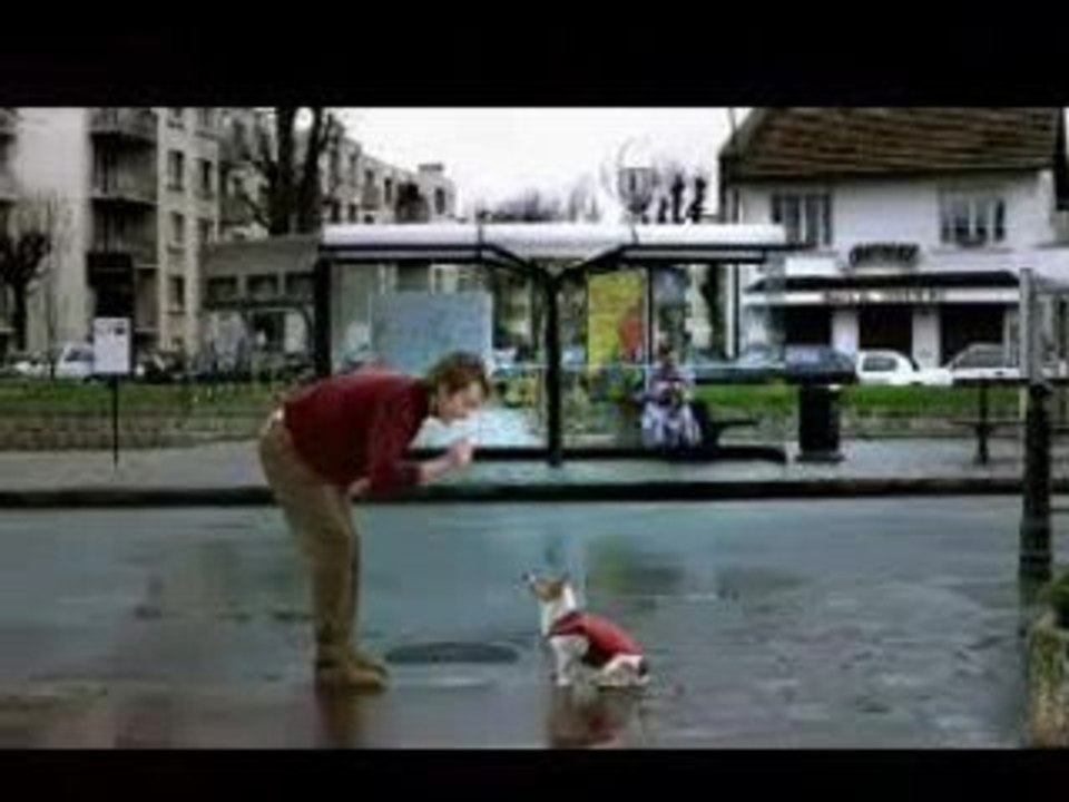 pub umbro football (chien)