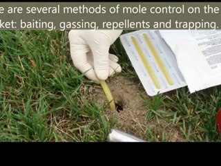 wildlife exterminator