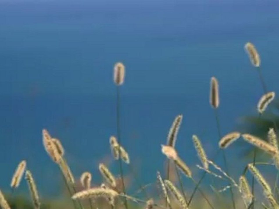 My Video