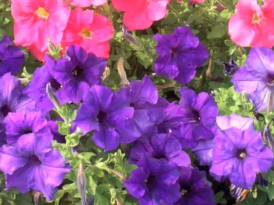 Yalancıdır hep o aynalar