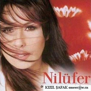 Nilüfer KAVAK YELLERİ
