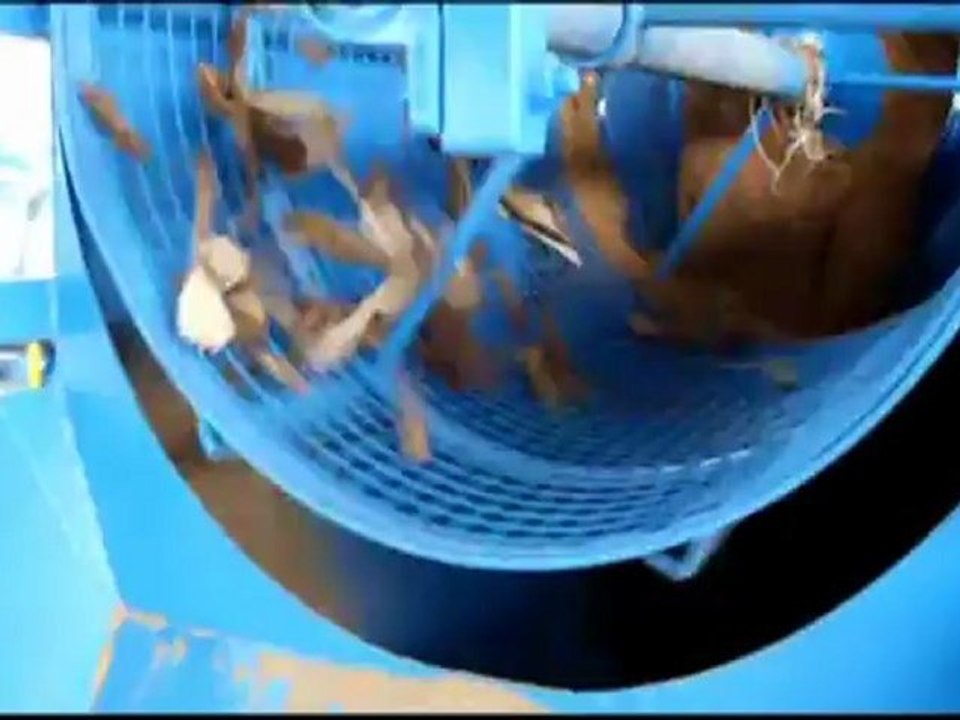 Broyeur Skorpion 500 EB