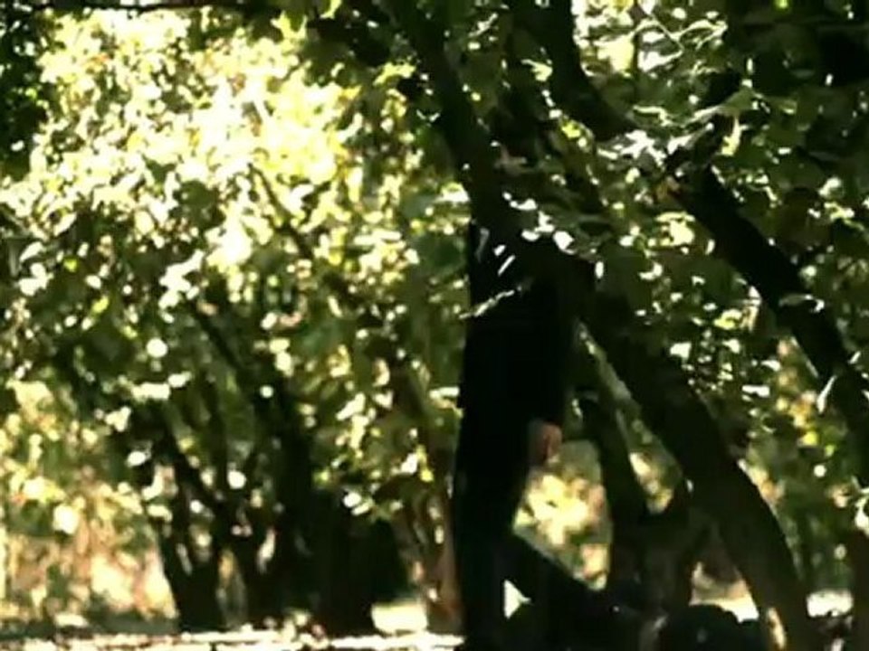 Marco - Solo
