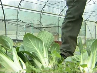 les Potagers de Marcoussis - Bulle d'air - Téléssonne - 13 mars 2012