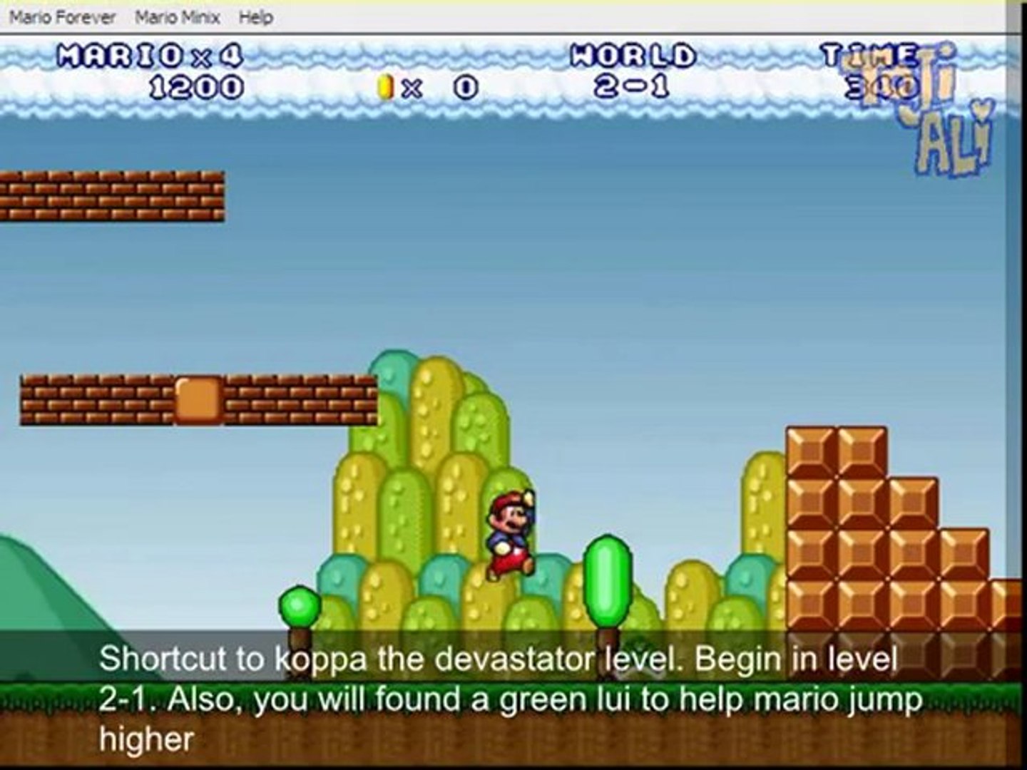 Mario Forever Secret Passages and Levels Walkthrough - video Dailymotion