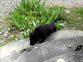 bb fantaisy 18 avril 1