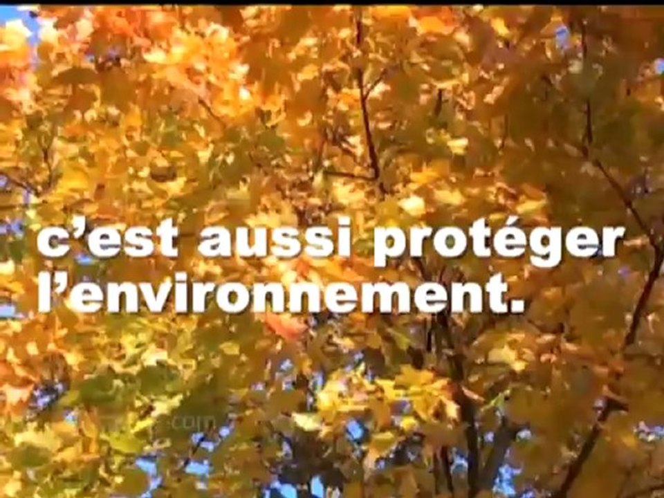 Incendies catastrophes