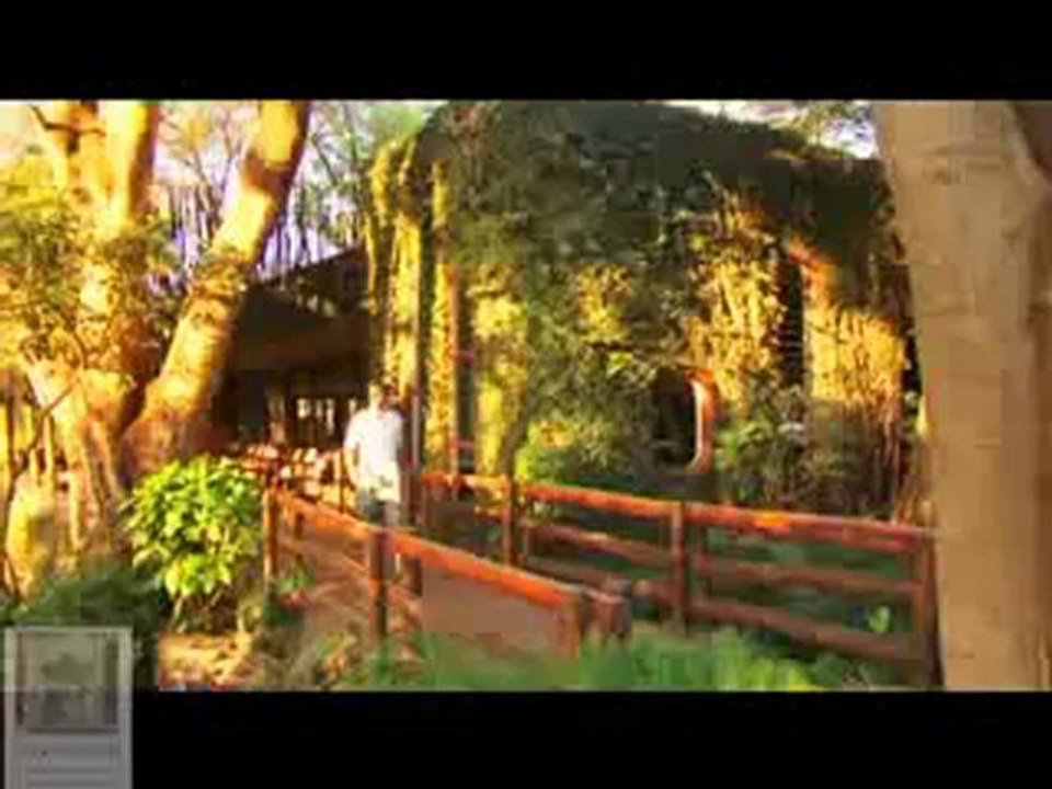 Savannah Adventures - Agence de voyage - Safari Kenya Tanzanie Ouganda