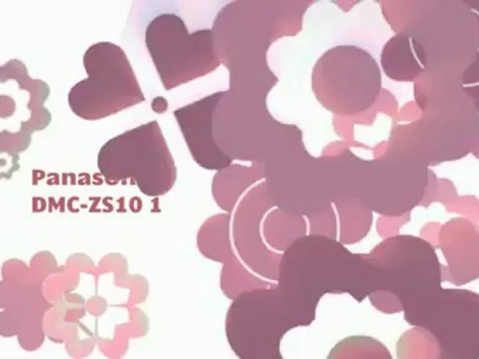 Best Price Review - Panasonic Lumix DMC-ZS10 14.1 MP ...
