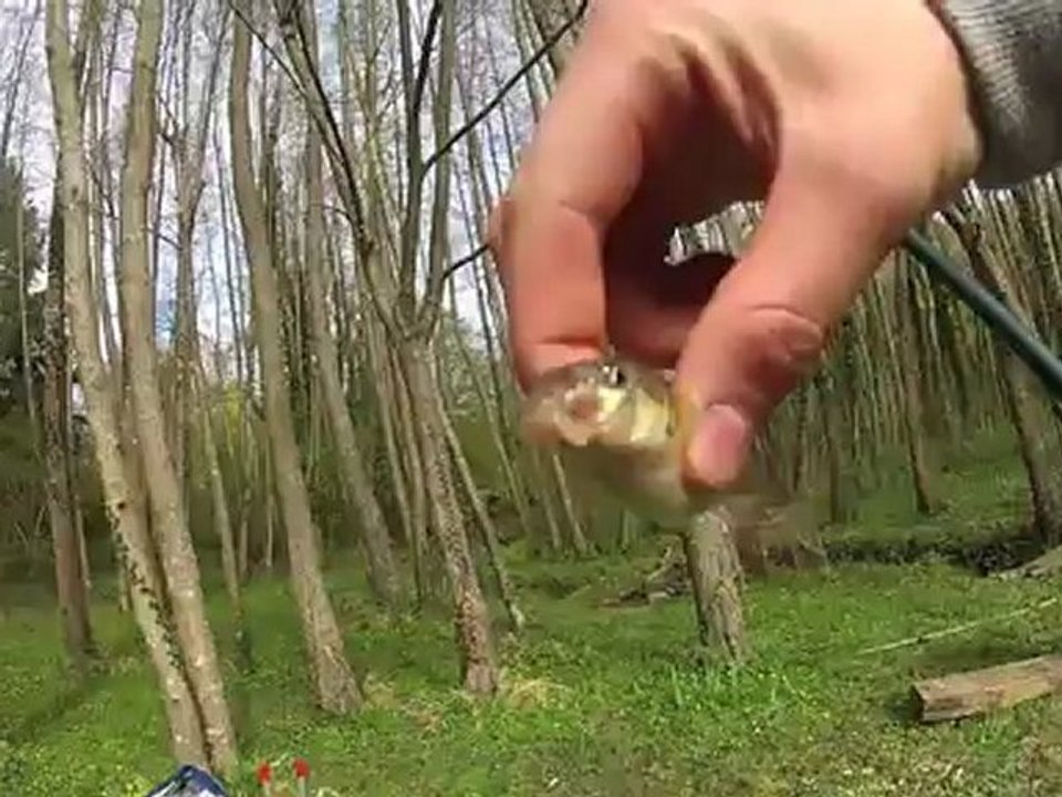 week end  se pâques chez Fx