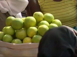 Frost over the World - Michael Frendo - 23 Nov 07