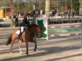 Va Petit d'Hoogpoort st lô 18 mars 2012