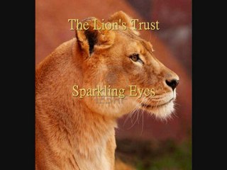 Sparkling Eyes