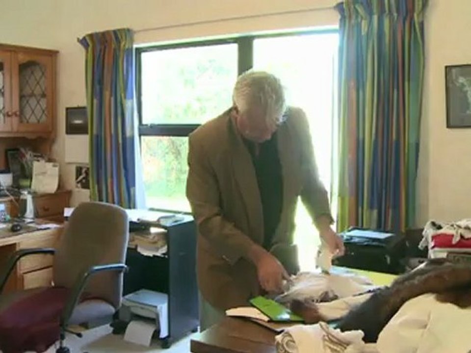 Pelzige plagegeister werden zu golfhandschuhen und bikinis