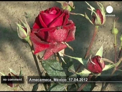 Mexico's Popocatepetl volcano erupts - no comment