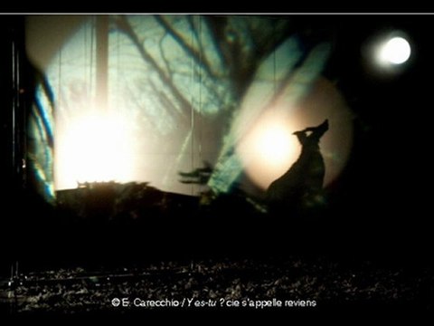 diaporama La cie s'appelle reviens