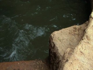 TRT Belgesel Ödülleri Tanıtım 4