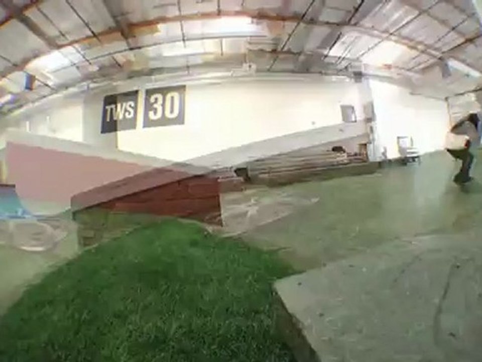 12 Pack Shuriken Shannon