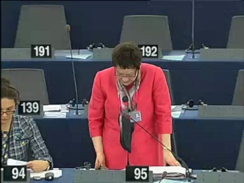 Sarah Ludford on EU-USA agreement on use and transfer of PNR to US Homeland Security