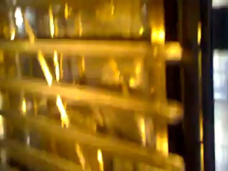 four leventi 10 niveaux