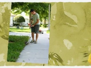 Hooters Tree Service (574) 936-5818 ‎