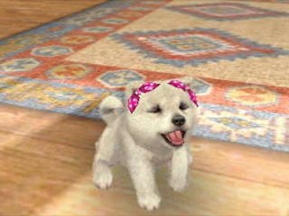 Nintendogs+Cats mes 2 chiots shiiba inu