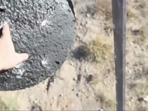 Live Hunt: The Rifle Range