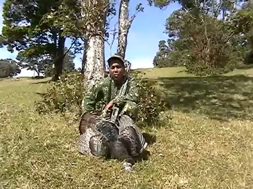 Chasing Spring - Turkey Chasing in Hawaii