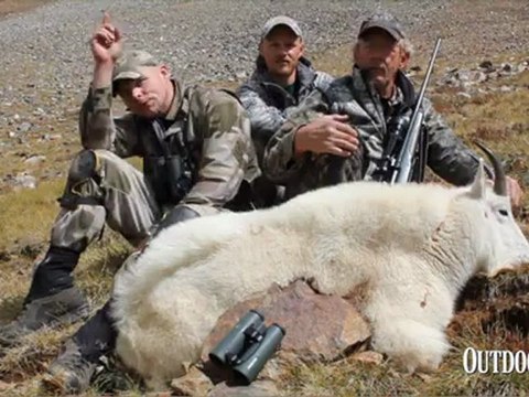 Father and Son Double on Mountain Goat Hunt in Colorado