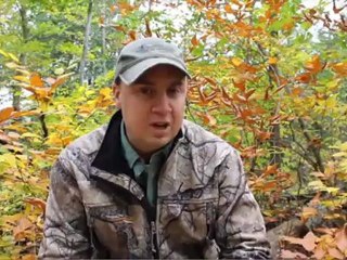 Target Big Bucks Video: Understand Food Per Acre