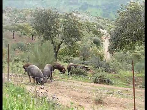 Le Grand Marché de la Gastronomie