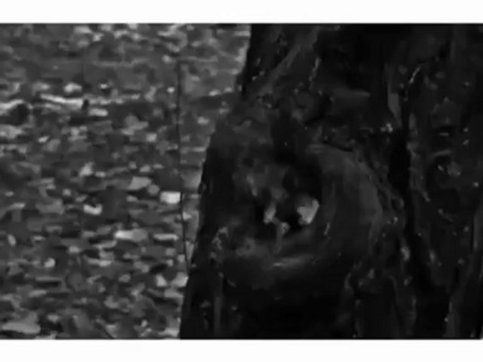 Milica Todorovic - Pamtim ja - 2009  SPOT   MilicaTodorovicTV