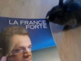 RABBIT le Lapin qui n'aime pas le programme de  Sarkozy