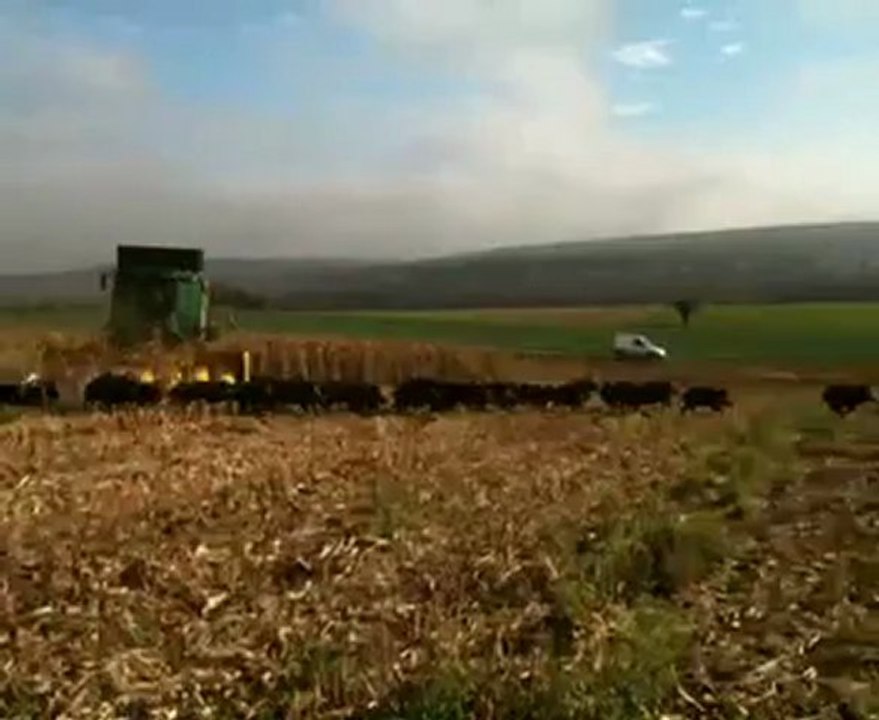 impressionnant