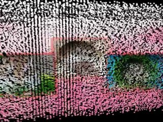 Russian Dwarf Hamster