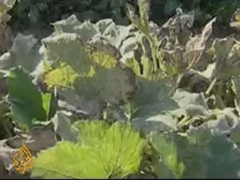 Gazans struggle to survive under Israeli blockade - 1 May 08