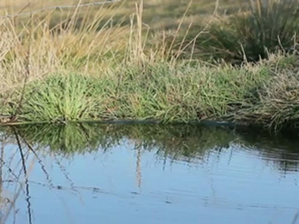 fressange de gaudemar florent