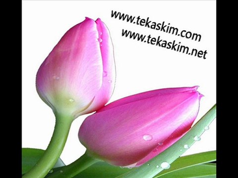 Harun Kolçak Vurgun - Tekaskim.com