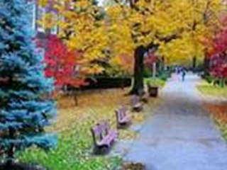 Hino 090 - Vivo na graça (Fernando Lopez) Legendado