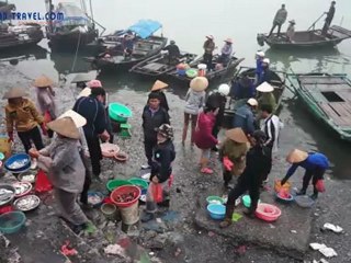 Video herunterladen: Halong brumeux-Halong - Voyage au Vietnam, Trekking au Vietnam, Voyage de photo au Vietnam, séjours au Vietnam, hors des sentiers battus au Vietnam,Voyage sur mesure au Vietnam