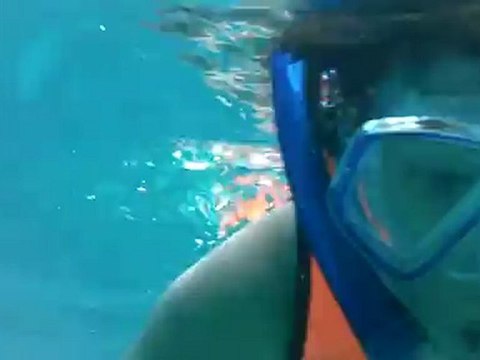 Around Phuket: Similan Island Snorkeling - TEFLPlus, Phuket, Thailand