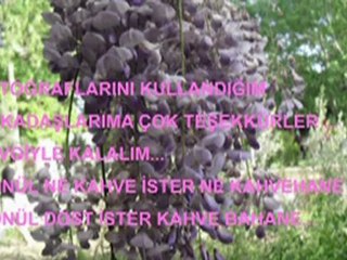 KURŞUNLU MANASTIRI -DAVUTLAR ---3--&& 15-04-2012