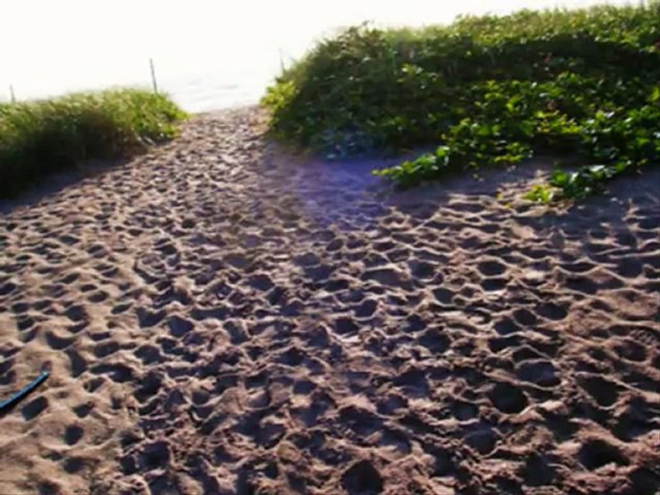 12 Palms Recovery Florida | Best Rehab | Best Rehab Centers