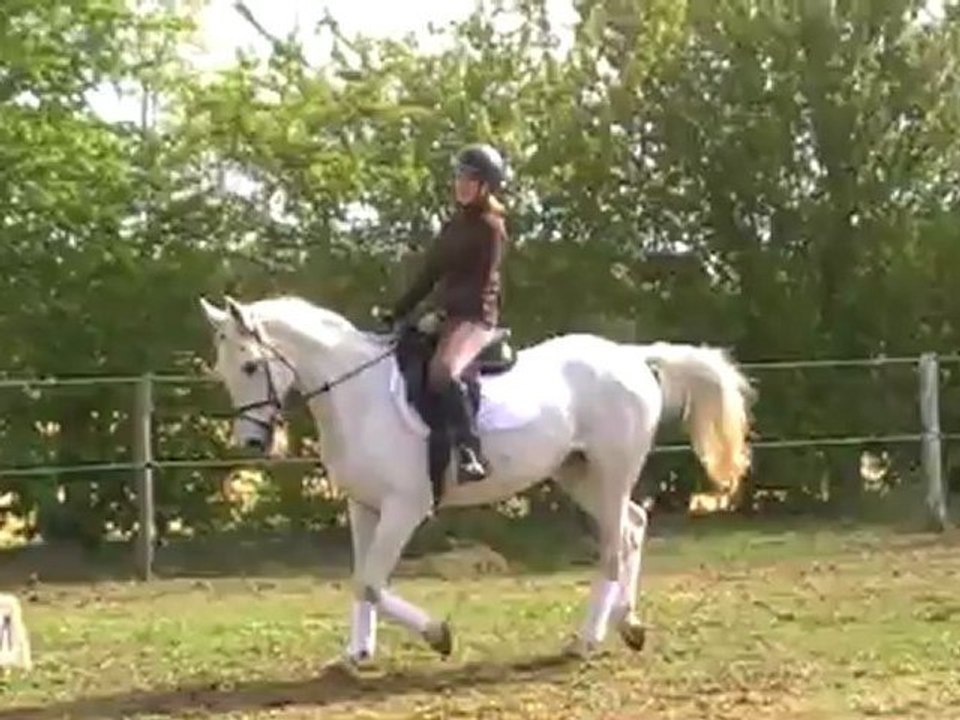 CCE dressage