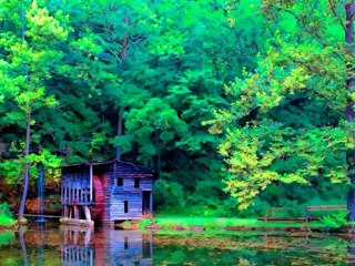 Cengiz ÖZKAN  "ARASAM DÜNYADA EŞİN BULUNMAZ"