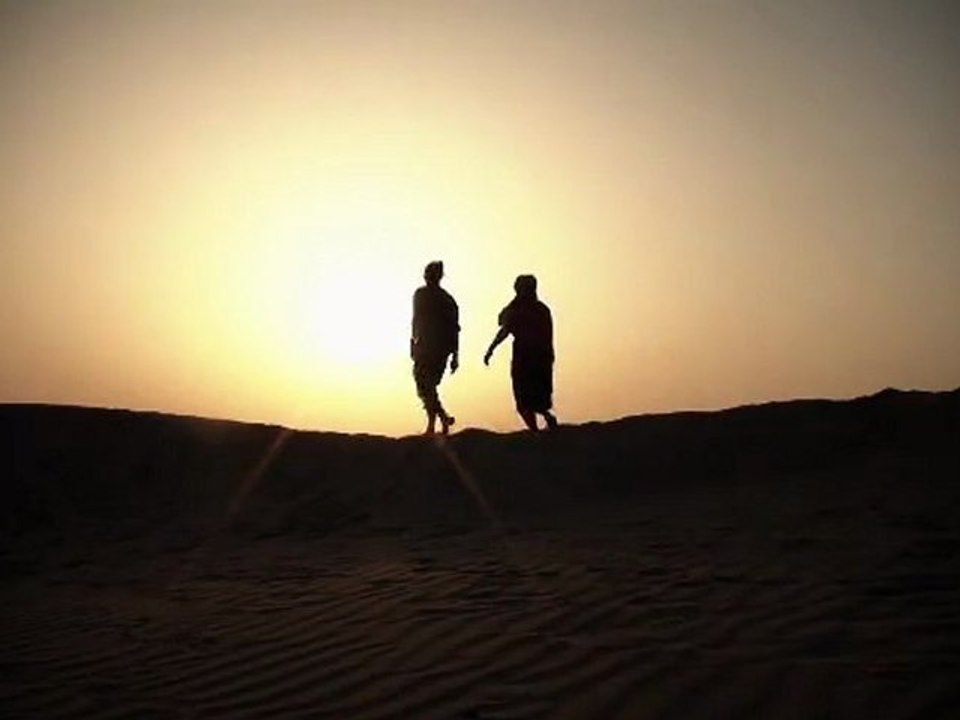 Discovery camel