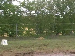 CCE dressage 2e partie