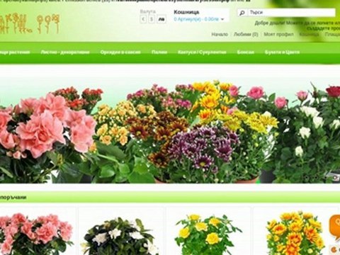 Доставка на саксийни растения и цветя - http.SAKSII.com